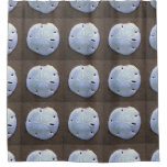 sand dollar shower curtain