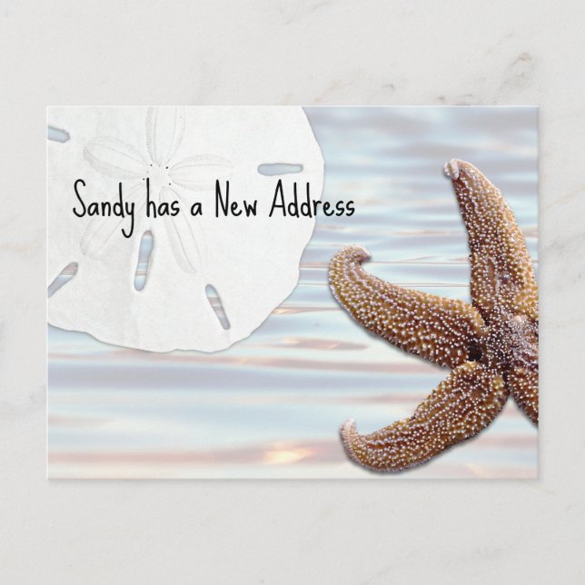 Sand Dollar Starfish Wood Beach New Address Announcement Postcard (Front)