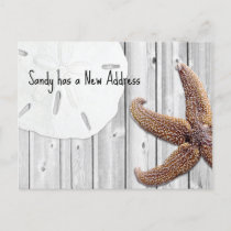 Sand Dollar Starfish Wood Beach New Address Announcement Postcard