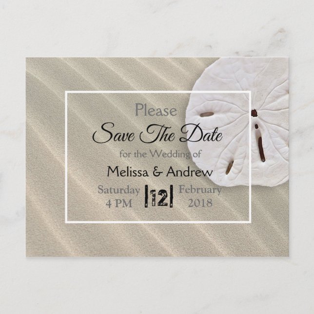 Sand Dollar Themed Wedding Save the Date Announcement Postcard (Front)