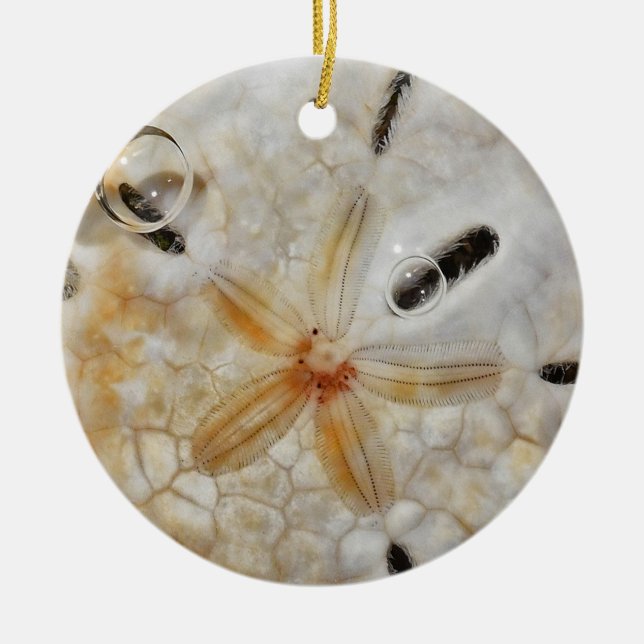 Sand Dollar Under Water Ceramic Ornament (Front)