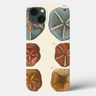 Sand Dollars Gems iPhone 13 Case