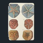 Sand Dollars Gems iPad Mini Cover<br><div class="desc">Sand dollars are a very unique sea gem. This image encompasses very unique and colorful sand dollars. Diderot contrasted these sand dollars with a soft cream colored tone background. Get your sand dollar gems on your zazzle product today.</div>