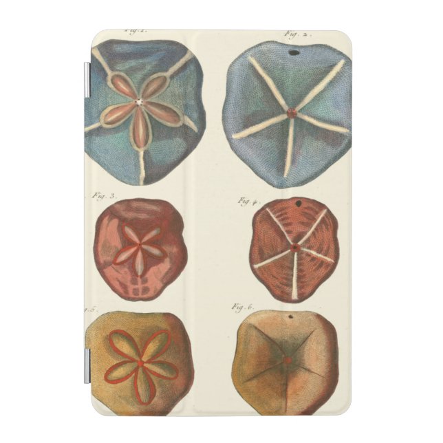 Sand Dollars Gems iPad Mini Cover (Front)
