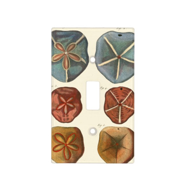 Sand Dollars Gems Light Switch Cover (Front)