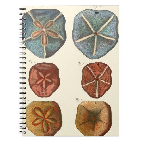 Sand Dollars Gems Notebook