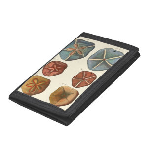 Sand Dollars Gems Tri-fold Wallet