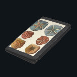 Sand Dollars Gems Trifold Wallet<br><div class="desc">Sand dollars are a very unique sea gem. This image encompasses very unique and colorful sand dollars. Diderot contrasted these sand dollars with a soft cream colored tone background. Get your sand dollar gems on your zazzle product today.</div>