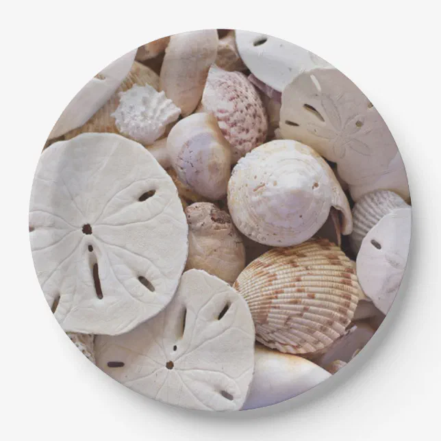 Sand Dollars Paper Plates | Zazzle