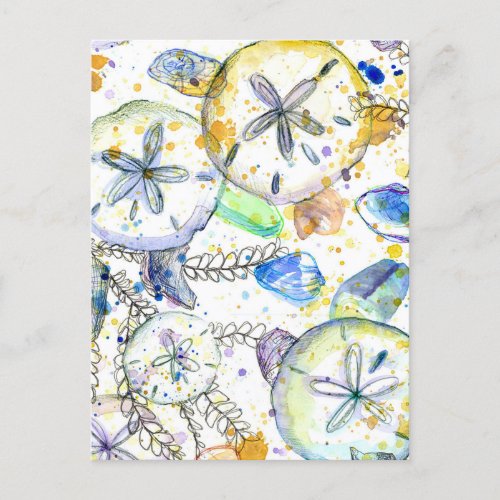 Sand Dollars Seashells Ocean Sea Treasures Postcard