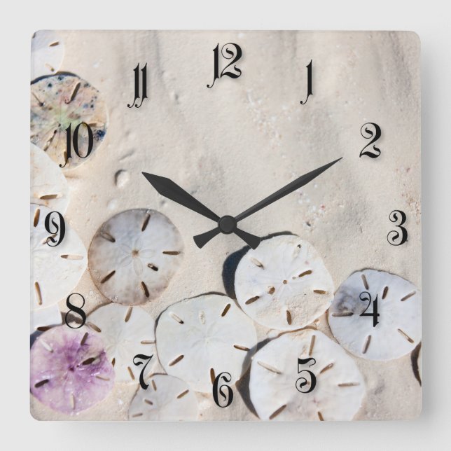 Sand dollars square wall clock (Front)