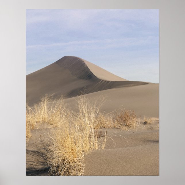 Sand dune formations. Bruneau Dunes State Park 2 Poster (Front)