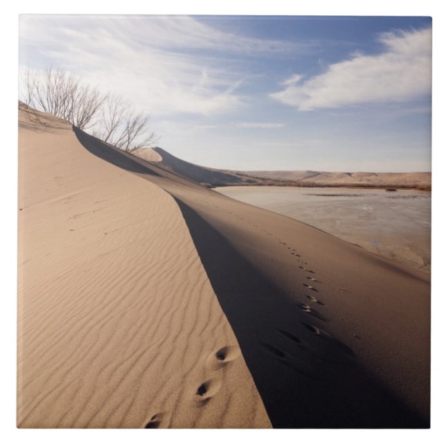 Sand dune formations. Bruneau Dunes State Park Ceramic Tile (Front)