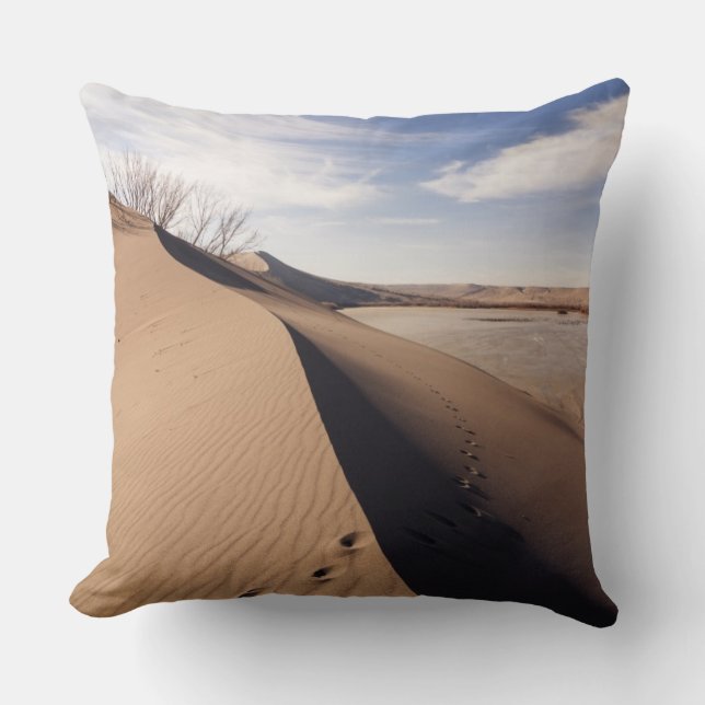 Sand dune formations. Bruneau Dunes State Park Throw Pillow (Front)