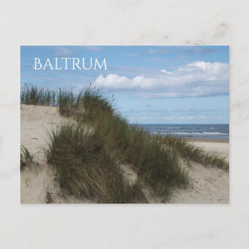 Sand Dune Grass North Sea Beach Baltrum Island Postcard