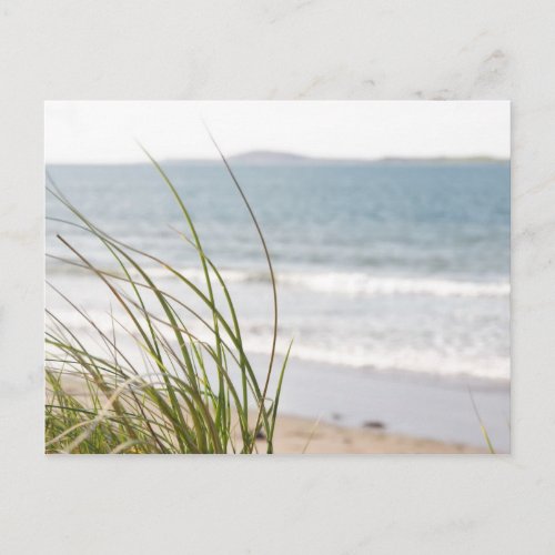 sand dune grass view postcard