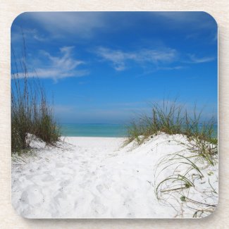 Sand Dune in Bradenton Florida Coaster