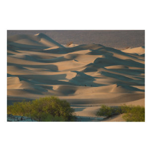 Sand dune landscape, California Wood Wall Decor