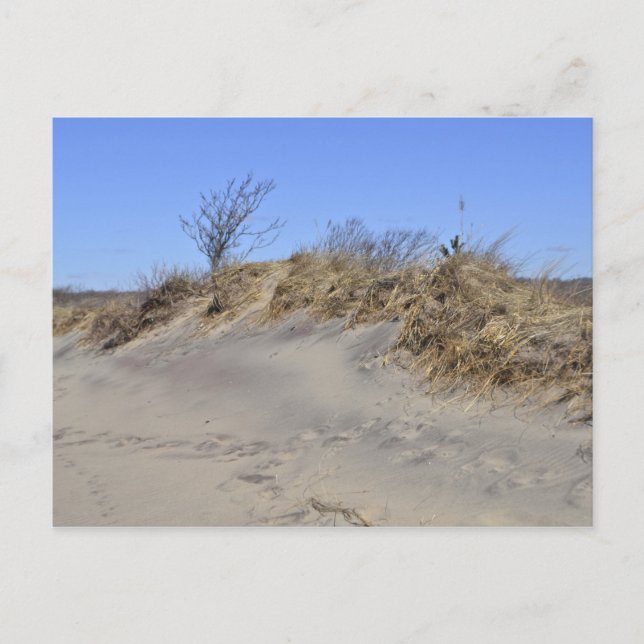 Sand Dune Postcard (Front)