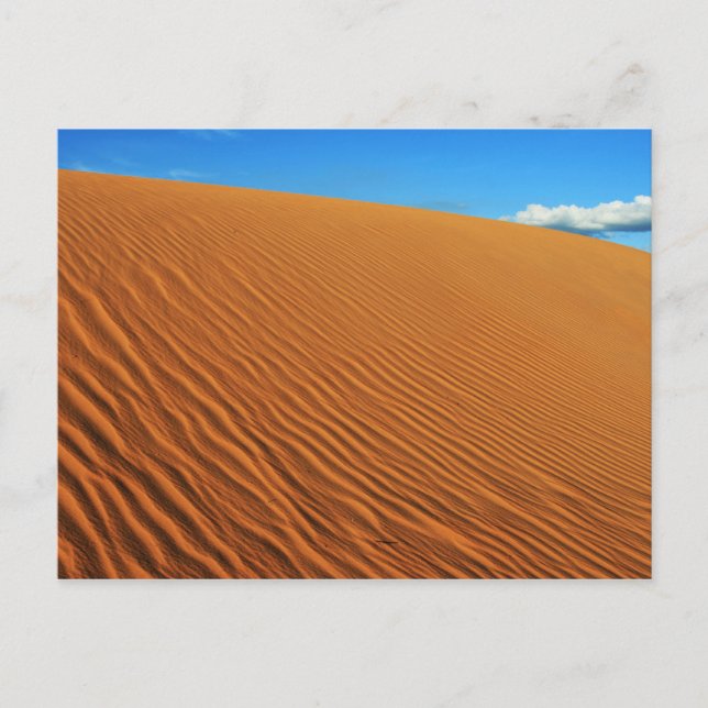 "Sand dune" postcard (Front)