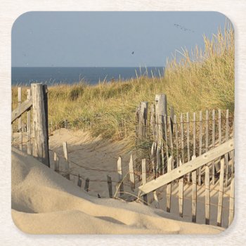 Sand Dunes And Beach Fence Square Paper Coaster by backyardwonders at Zazzle