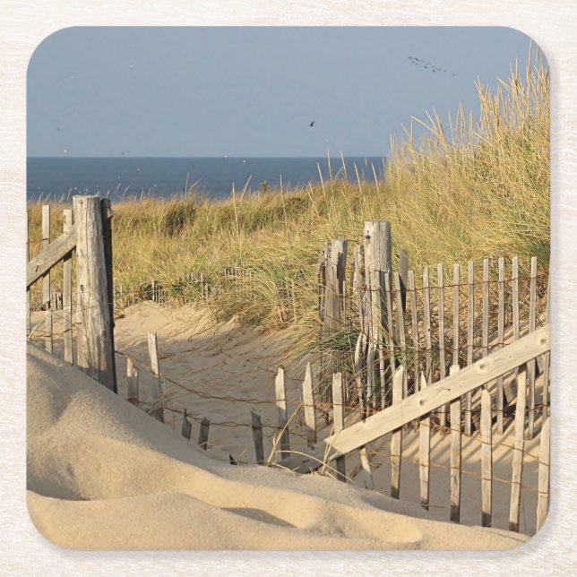 Sand dunes and beach fence square paper coaster (Front)