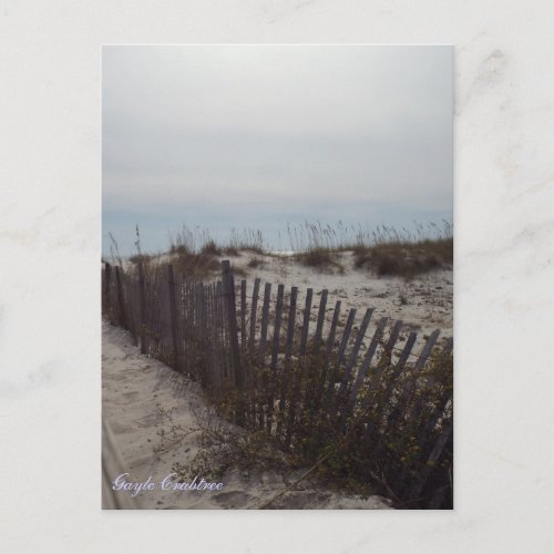 Sand dunes and beach on the Gulf Coast Alabama Postcard