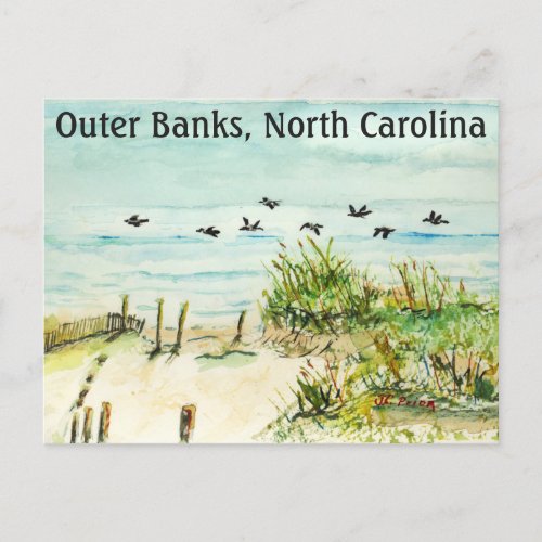 Sand Dunes and Seagulls Outer Banks North Carolina Postcard