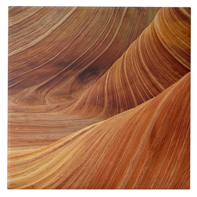 Sand Dunes  Ceramic Tile (Front)