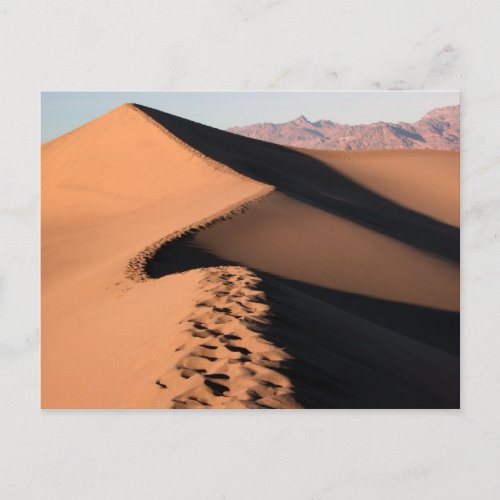 Sand Dunes _ Death Valley Postcard