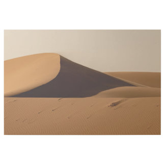 Sand Dunes Desert Landscape Gallery Wrap
