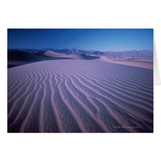 Sand Dunes in Desert Cards (Front Horizontal)