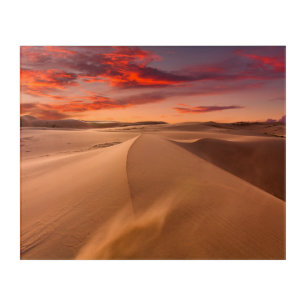 Sand Dunes in the Desert at Sunset Acrylic Print