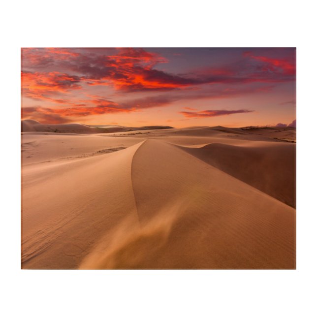 Sand Dunes in the Desert at Sunset Acrylic Print (Front)