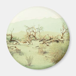 Sand Dunes of Death Valley Magnet
