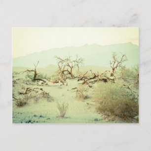 Sand Dunes of Death Valley Postcard