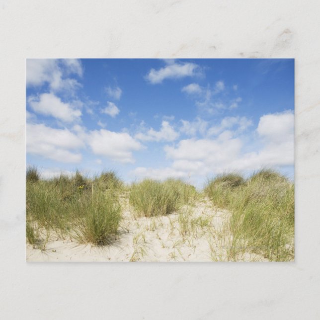 Sand dunes postcard (Front)