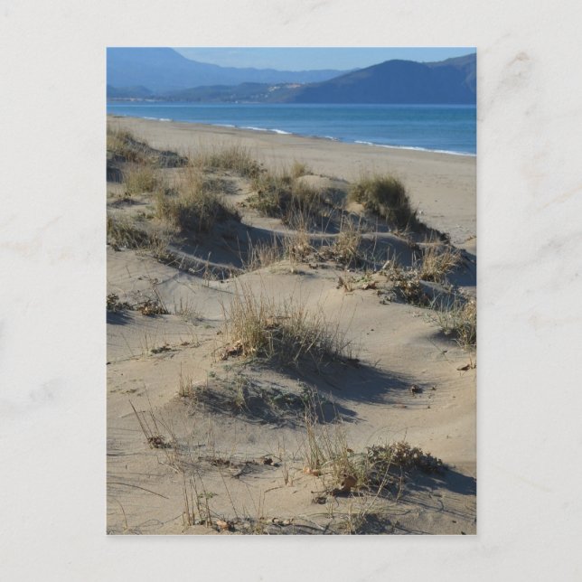 Sand Dunes Postcard (Front)