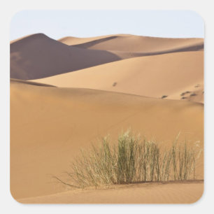 Sand dunes, Sahara desert, Morocco Square Sticker