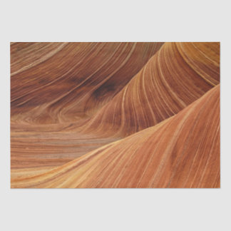 Sand Dunes  Tissue Paper