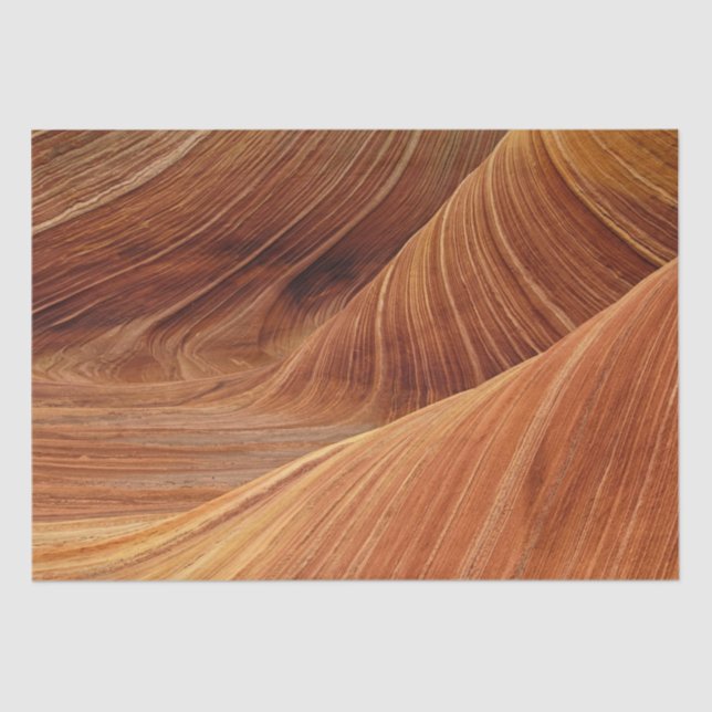 Sand Dunes  Tissue Paper (Front)