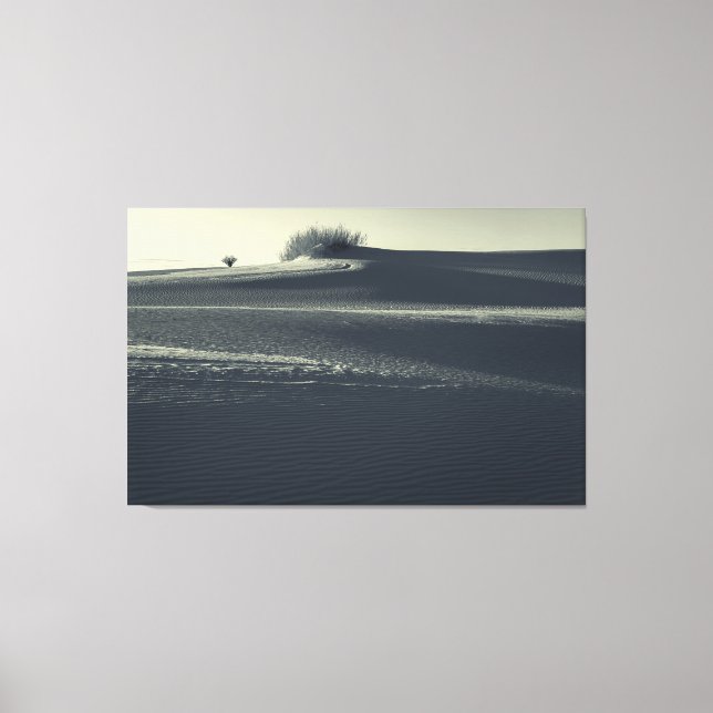 Sand Dunes with Yucca Canvas Print (Front)