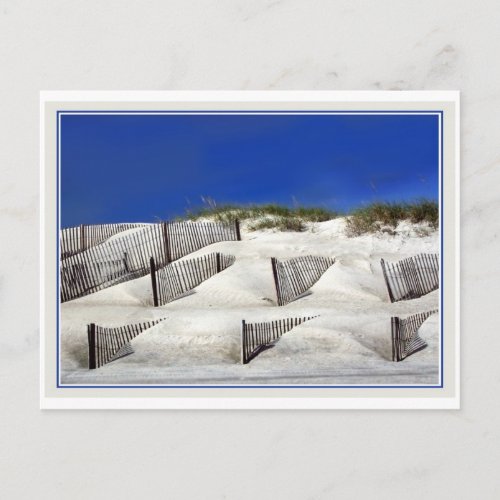 Sand Fences Postcard