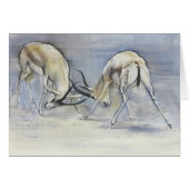 Sand Gazelles 2009  3 (Front Horizontal)