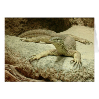 Sand goanna