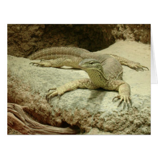Sand goanna