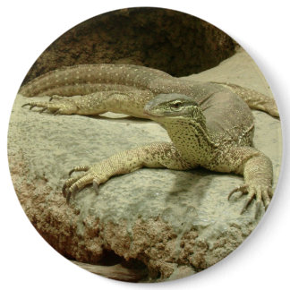 Sand goanna button