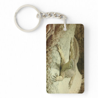 Sand goanna keychain