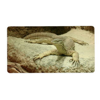 Sand goanna label
