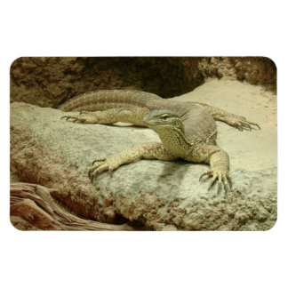 Sand goanna magnet